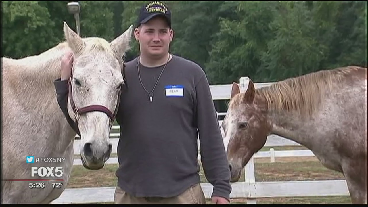 Horses for veterans