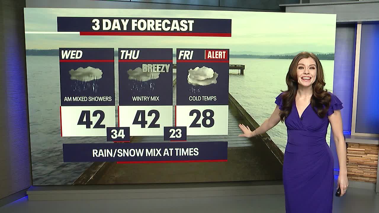 Few mixed rain/showers possible early Wednesday