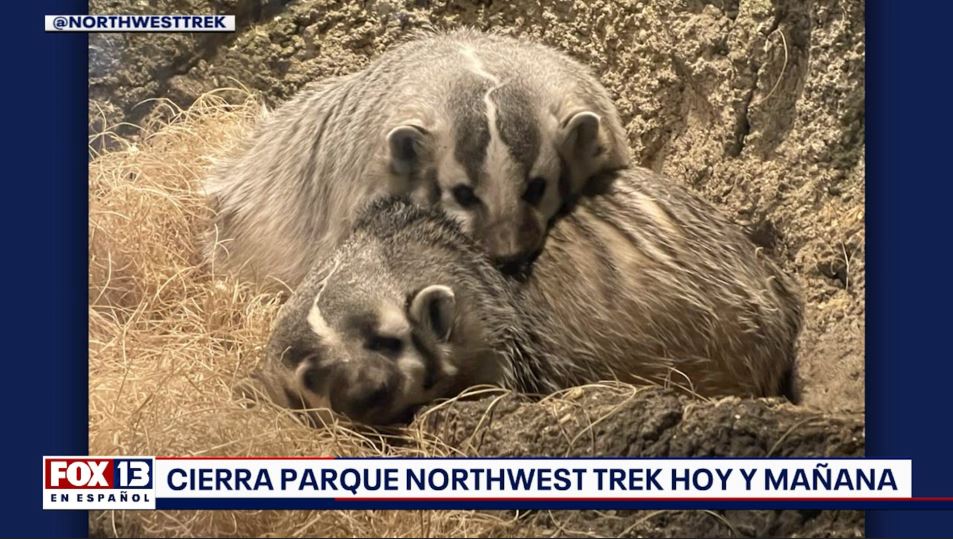 ?ltimas noticias con el noticiero FOX 13 Seattle: Viernes 11 de enero