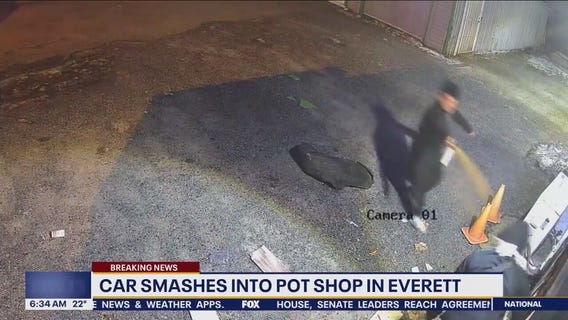 Video shows man use bear spray to thwart pot shop burglars in Everett