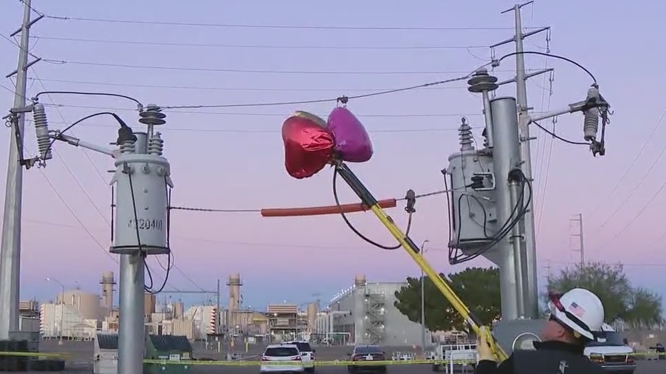 Why mylar balloons shouldn't be released outside