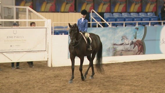 Arabian Horse Show now underway in Scottsdale