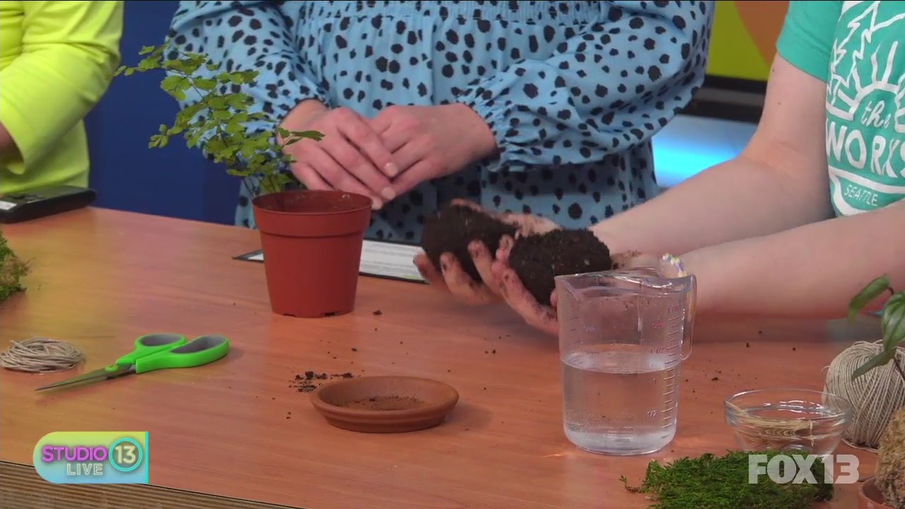 Making Japanese plant displays with The Works Seattle