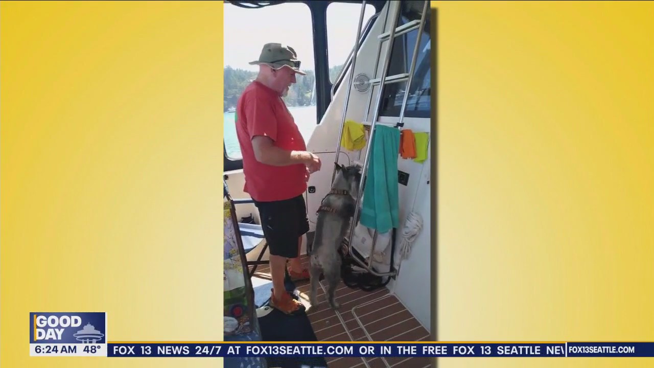 Pet Tricks for Friday, February 2