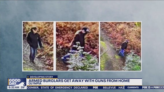 Armed burglars get away with guns from home