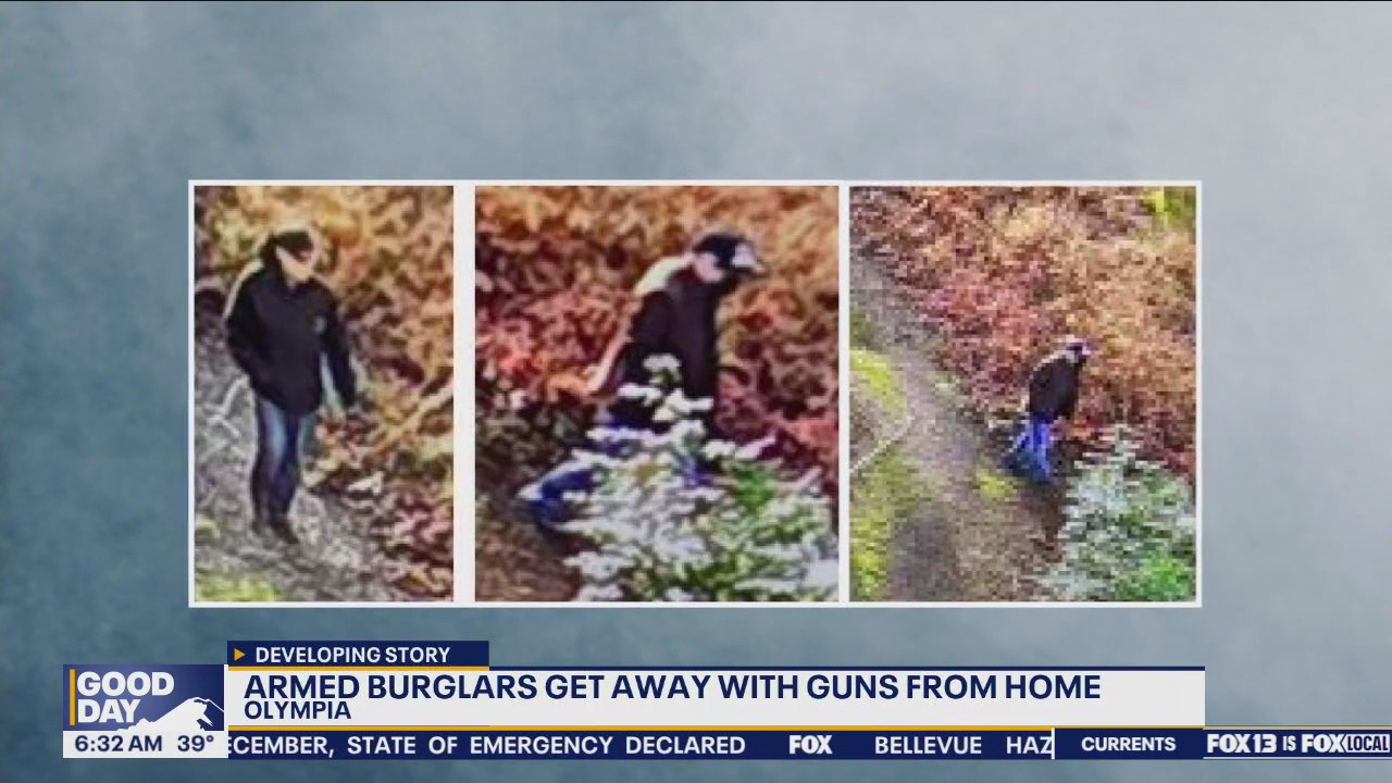 Armed burglars get away with guns from home