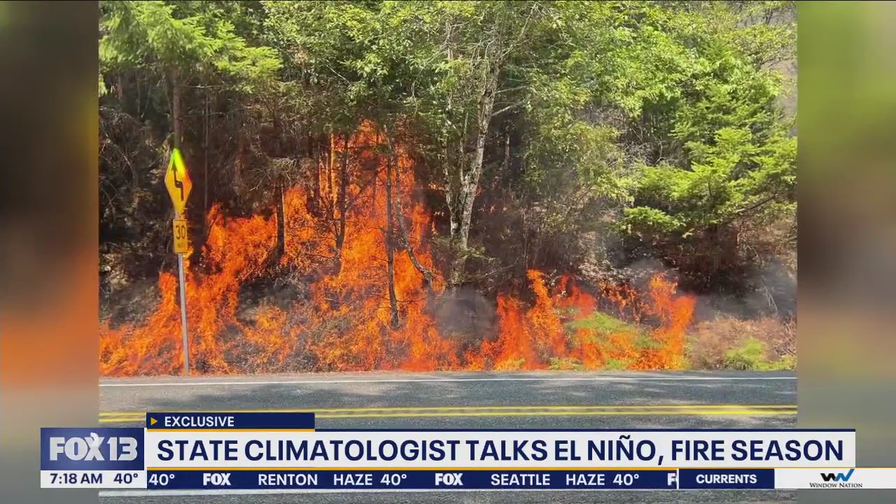 How El Ni?o might impact wildfire season