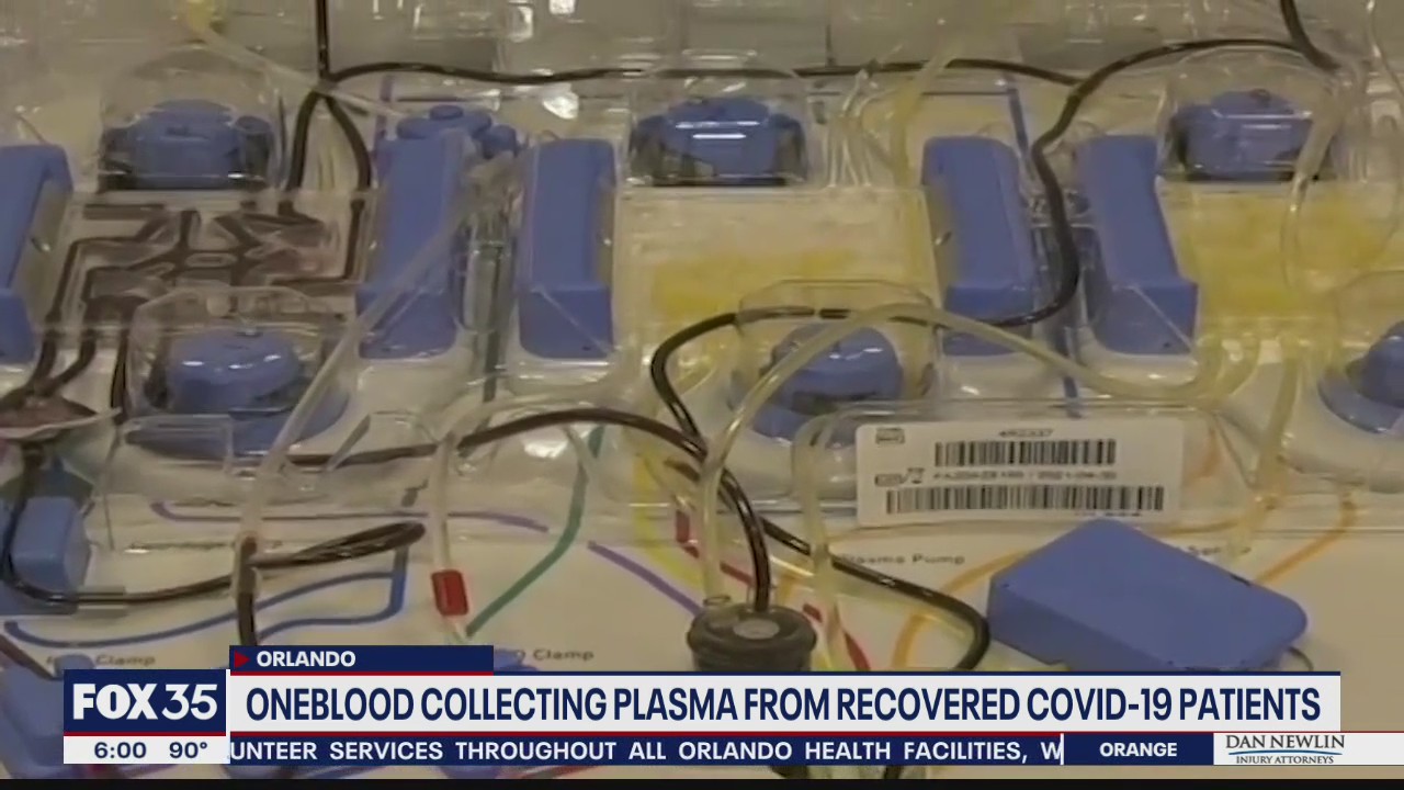 OneBlood collecting plasma from recovered coronavirus patients