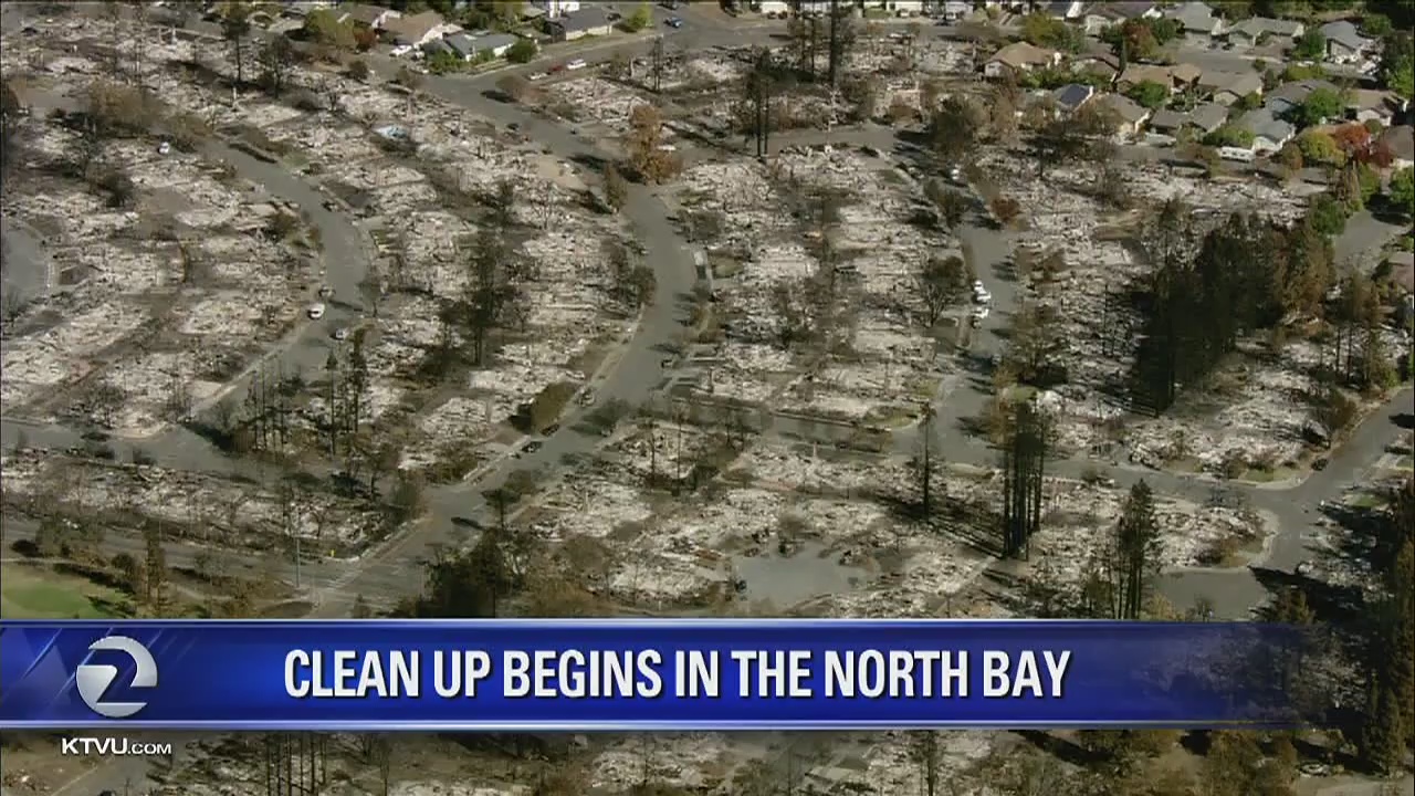 Clean up in the North Bay