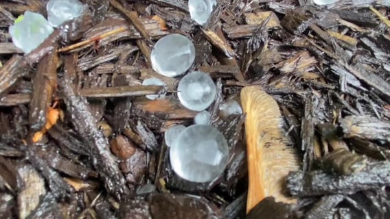 Delaware County hail