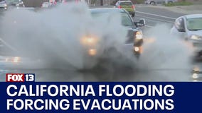 Most of California under flood watch