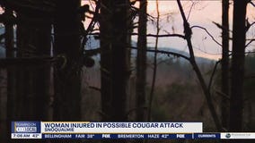 Woman injured in cougar attack near Snoqualmie