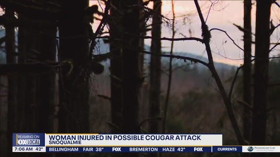 Woman injured in cougar attack near Snoqualmie