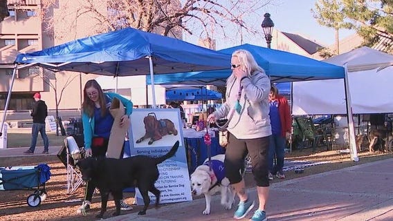 Murphy Park in downtown Glendale hosted dogs and their families for a good cause