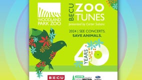 Watch Studio 13 Live full episode: Tuesday, Feb. 20