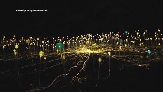 Longwood Gardens: Fountain shows, live music, and more!