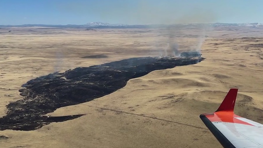 Ranch Fire: Eastern Arizona crews battle year's first wildfire