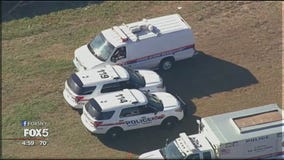 Cops, agents search Long Island woods