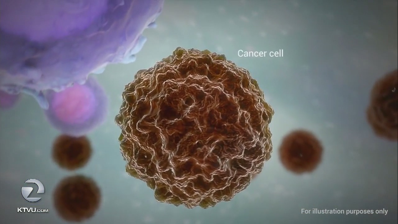 Hope for new cancer treatment