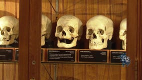 M?tter Museum: See fascinating medical exhibits dating back to the 1800s