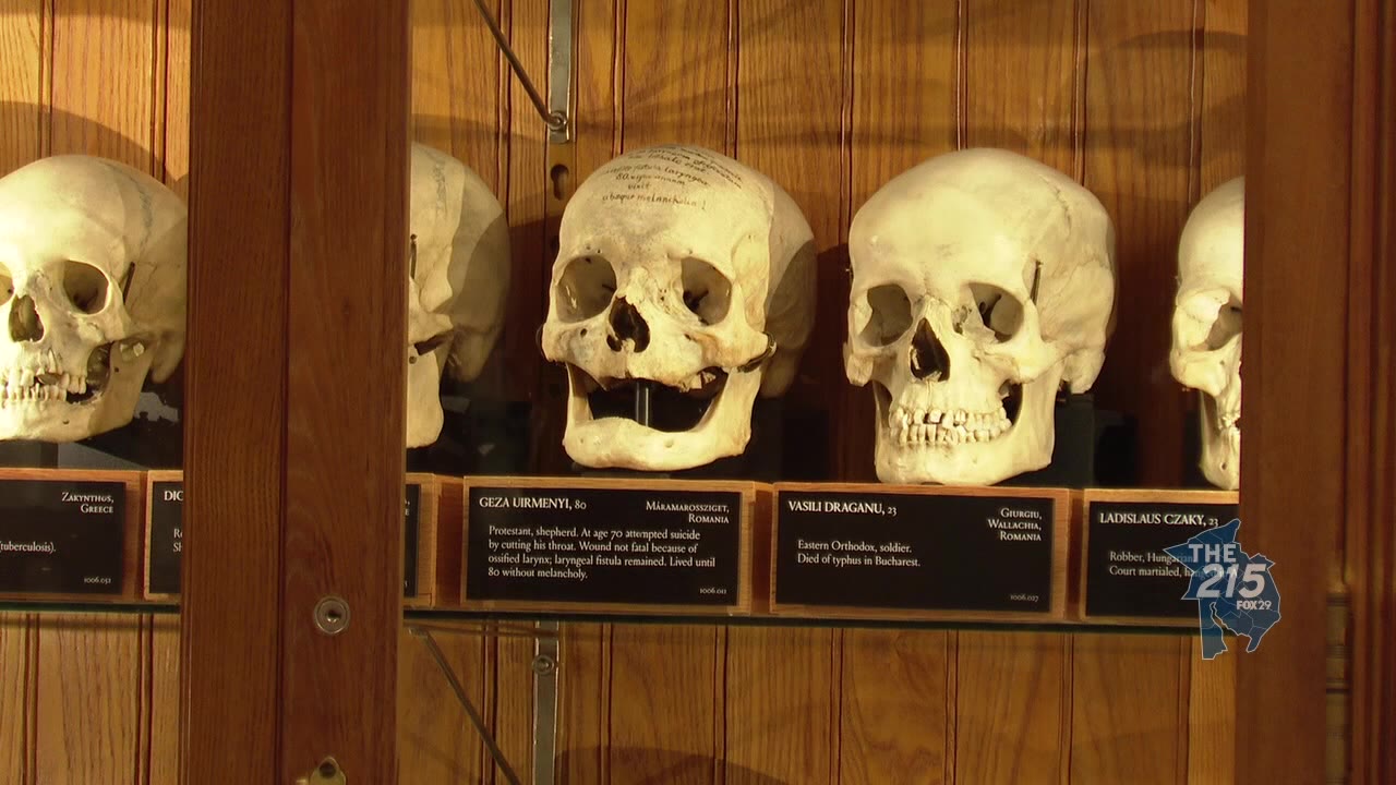 M?tter Museum: See fascinating medical exhibits dating back to the 1800s