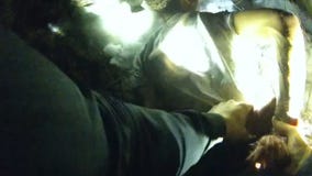 Body camera video of pursuit suspect taken into custody