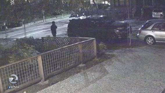 Student shot in armed robbery relinquishes backpack only after he realizes dissertation was saved