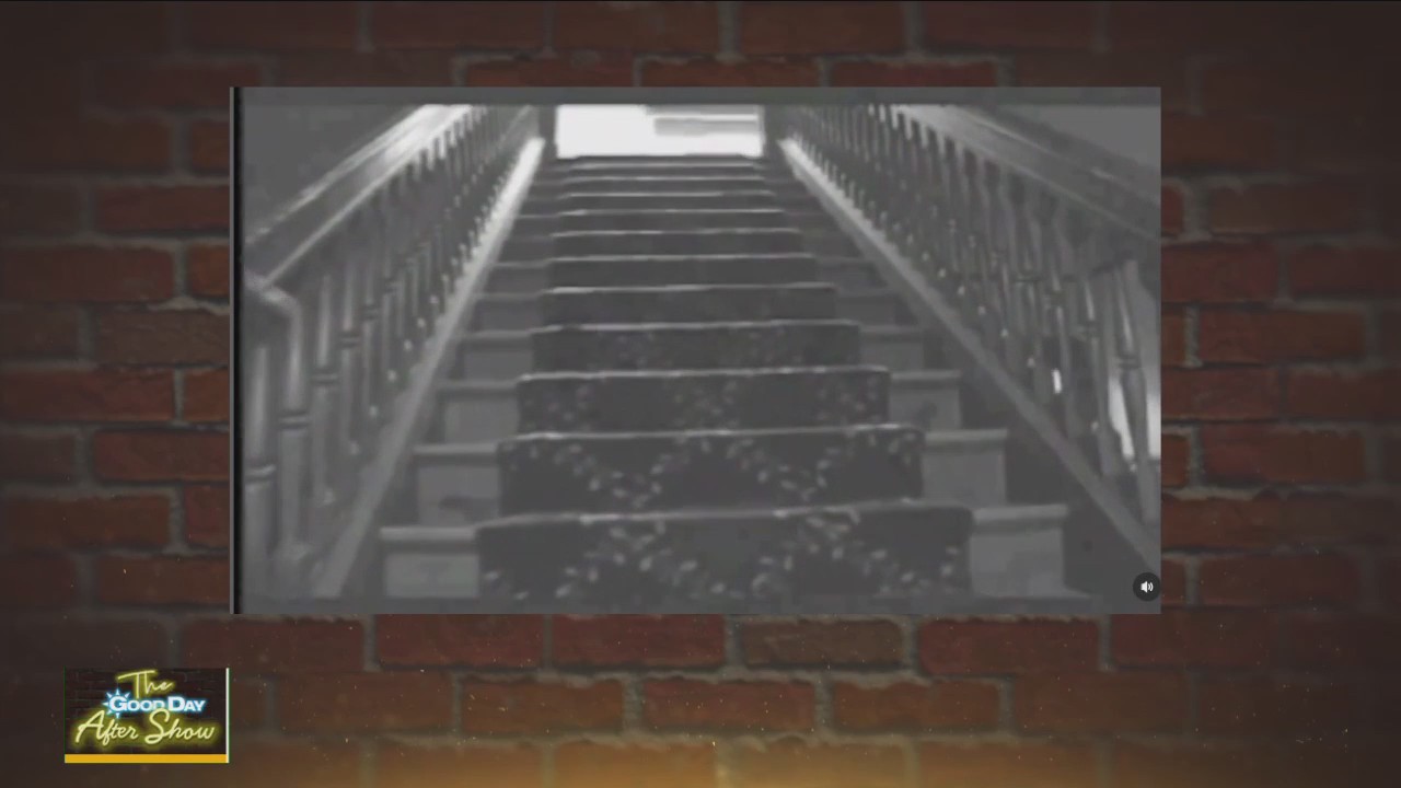 Do you believe in paranormal activity?