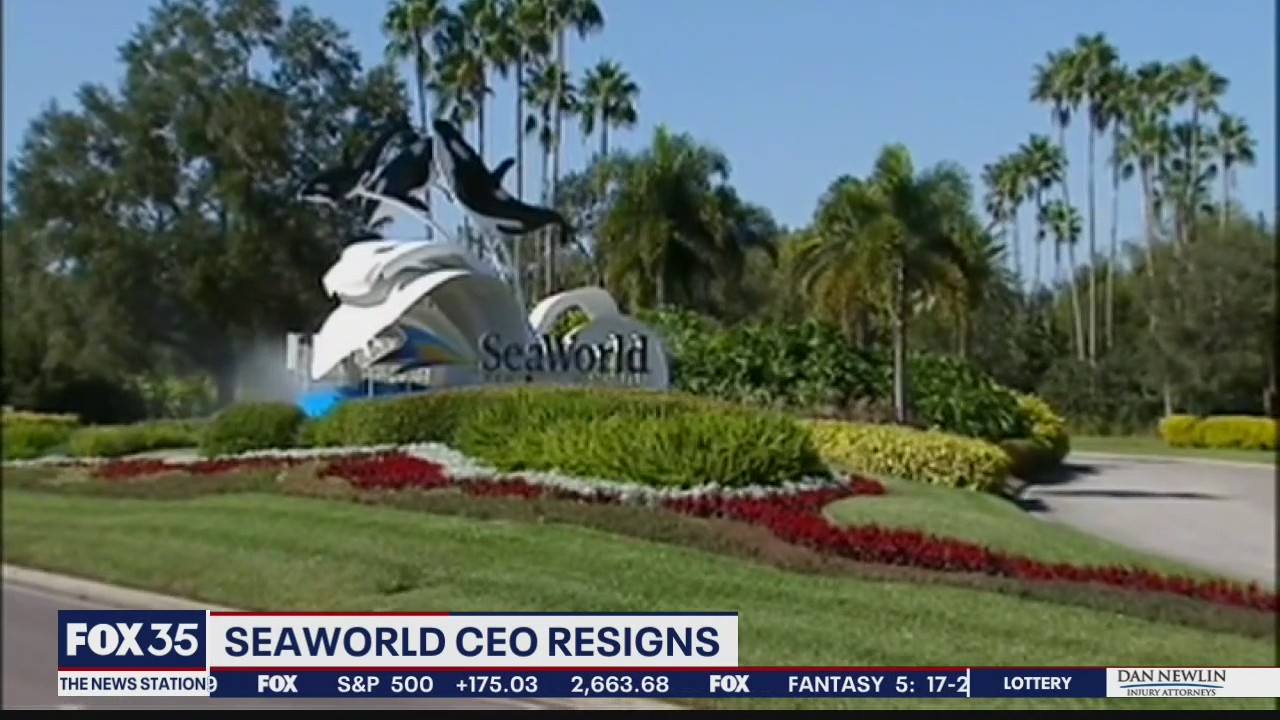 SeaWorld CEO resigns