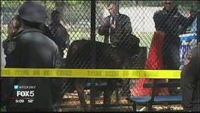 Cops catch loose steer