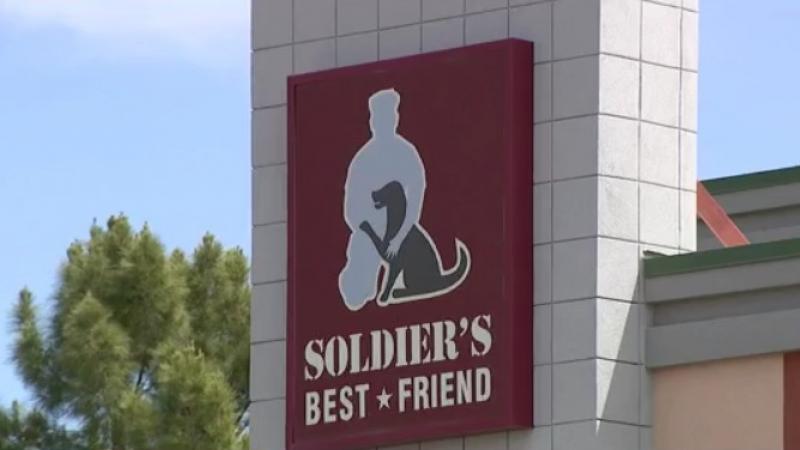 Hadley's Hope: Arizona girl raising money to help Valley veterans, shelter dogs