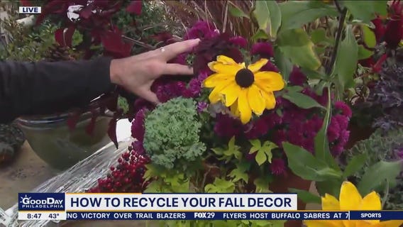 How to recycle your fall decor