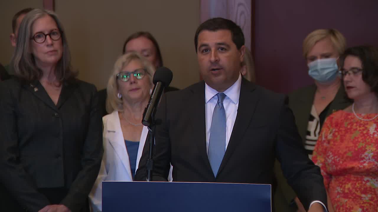 AG Josh Kaul sues to block Wisconsin's abortion ban (part 2)