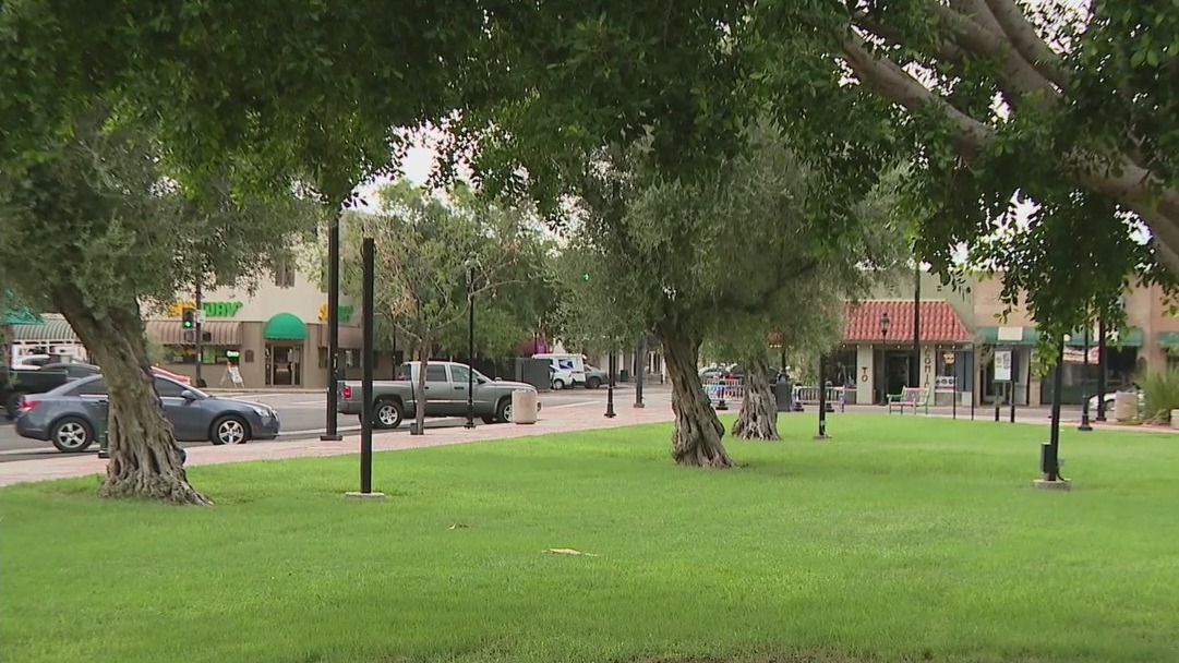 Downtown Glendale: Some residents express concerns over plans for Murphy Park