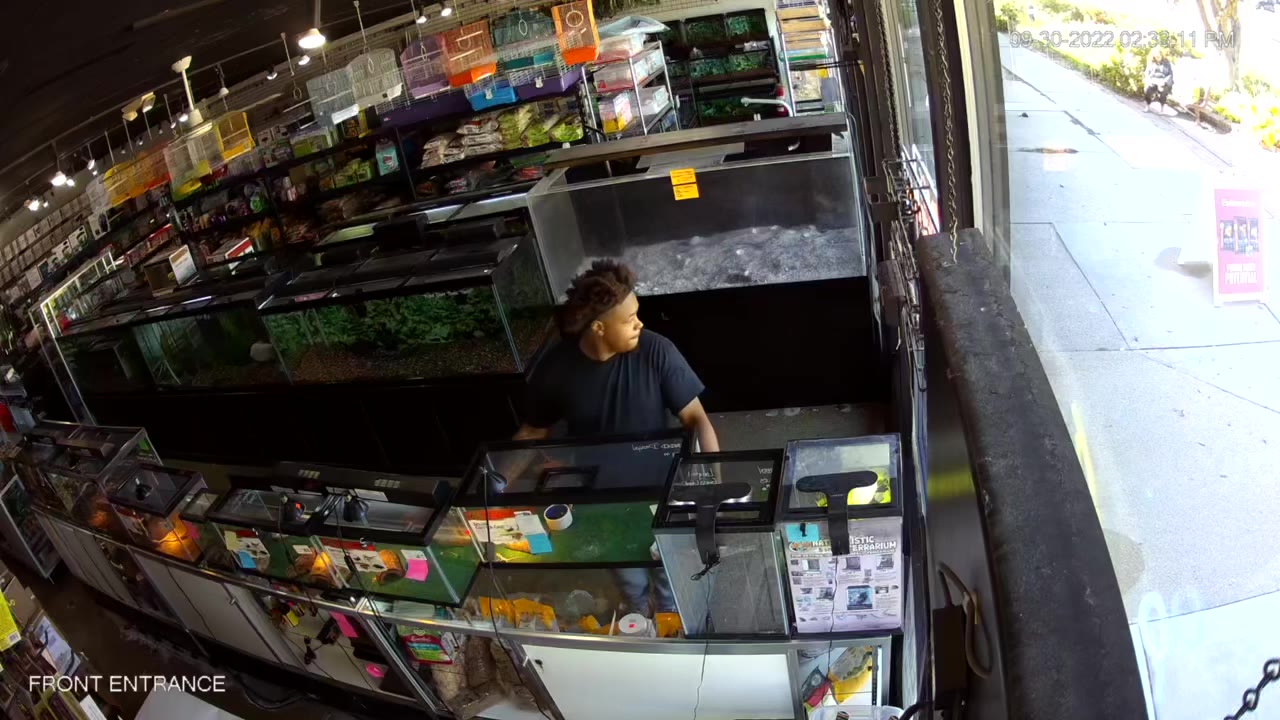 Theft of bearded dragons, aquarium from Glendale pet store