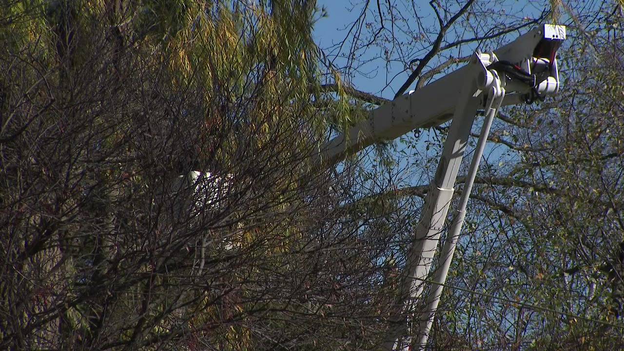 Powerful weekend winds; no power for 40 hours for some customers