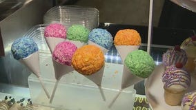 Happy Tails Barkery in Gilbert goes above and beyond for dogs, making unique, tasty treats