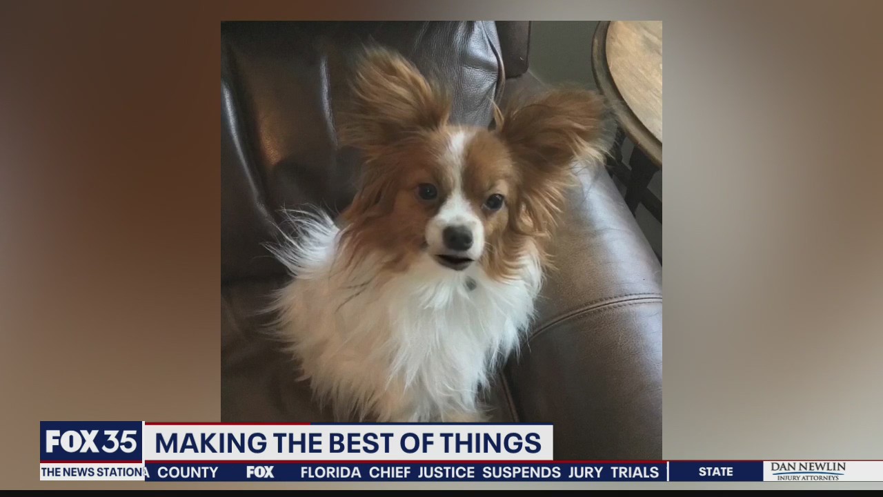 Marion County launches campaign to showcase positivity