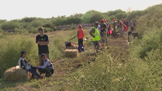 Dove hunting season underway in Buckeye