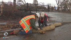 Normally welcome, rain poses challenges to North Bay burn areas