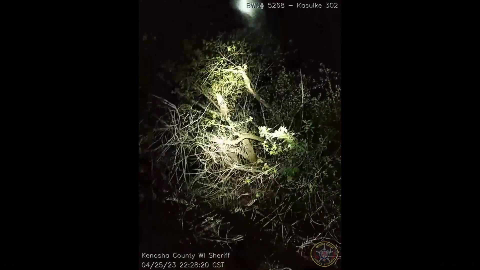 Kenosha County police chase, crash; driver found hiding in tree