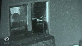 Man kills home invasion suspects in Brentwood