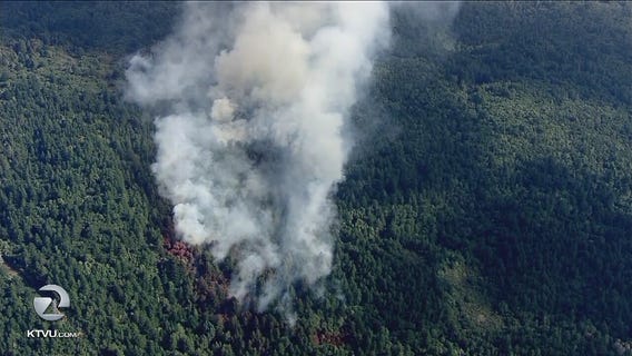 Wildfire started by lightning above Woodside at 50 acres, 10% contained