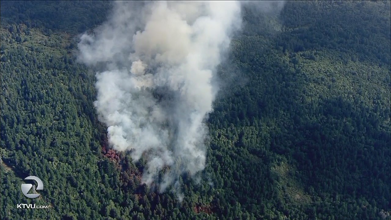 Wildfire started by lightning above Woodside at 50 acres, 10% contained