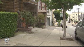 Good Samaritan helps prevent kidnapping in San Francisco's Pacific Heights neighborhood