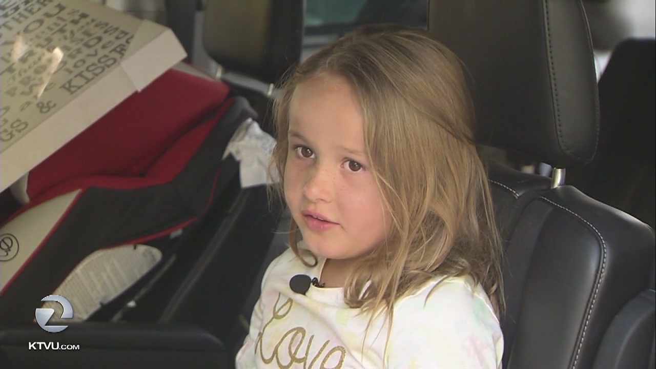 Girl riding with mom in minivan grazed by pellet gun in South Bay