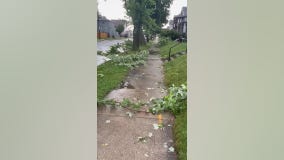 Storm damage near Kearney Avenue in Racine