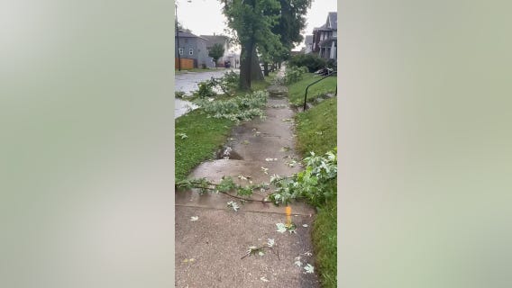 Storm damage near Kearney Avenue in Racine