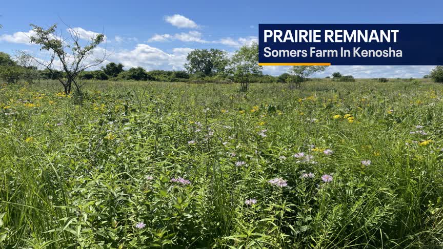 Weather Webcast with Meteorologist Eric Manges