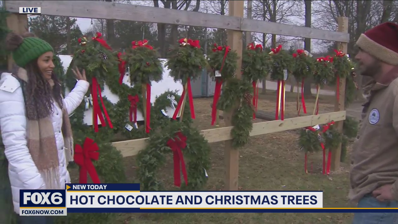 Much more than Christmas trees at Trees for Less